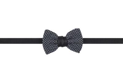 PAPILLON A MICROPOISE