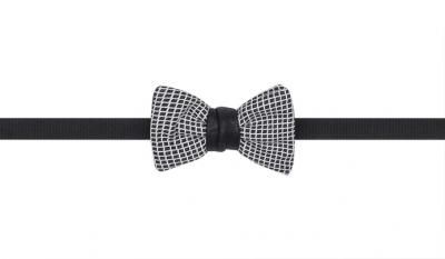 PAPILLON A MICROQUADRI