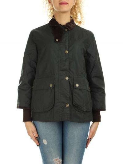 LADY CROPPED BORDER