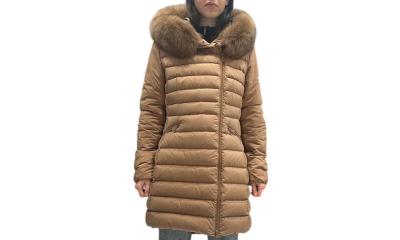 SERIOLA ML 04 FUR